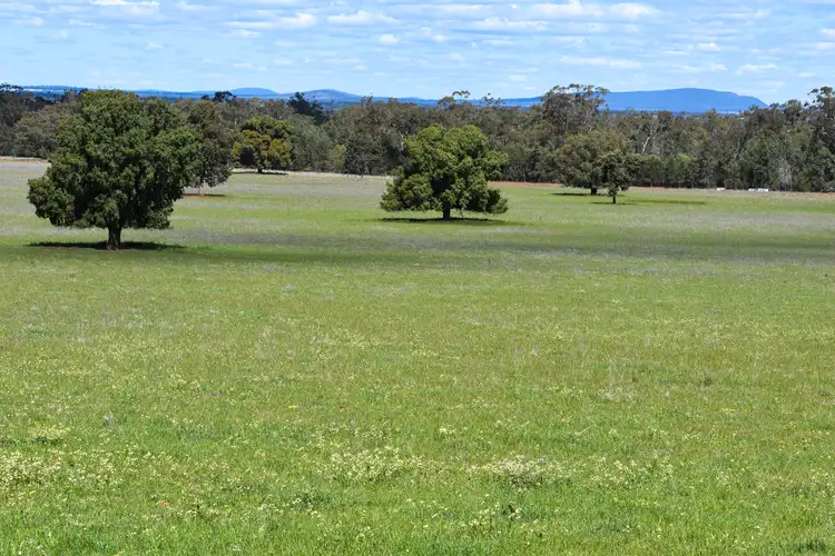 120 Melrose Plains Road, Fifield NSW 2875