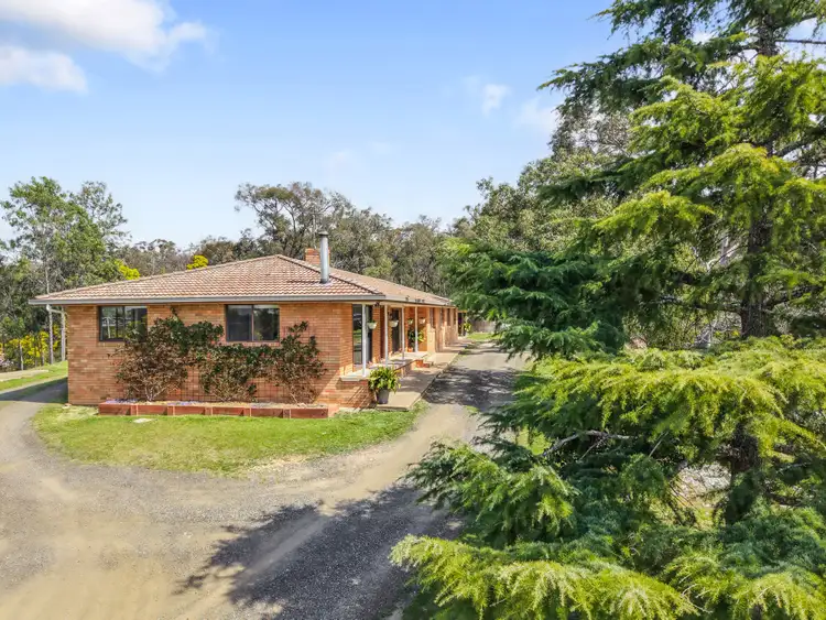 1677 Spring Ridge Road, Gulgong NSW 2852