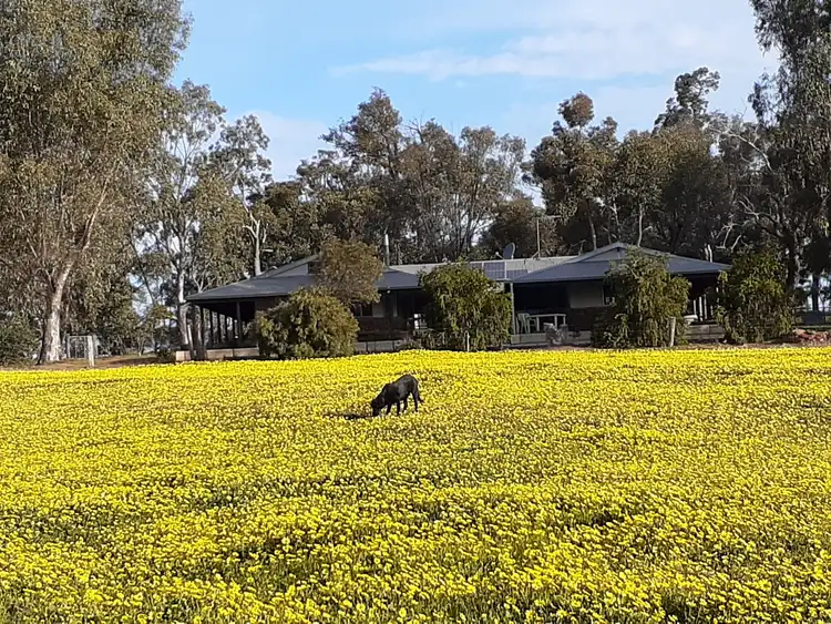 Fifth view of Homely rural property listing, 4 Mistletoe View, Crossman WA 6390