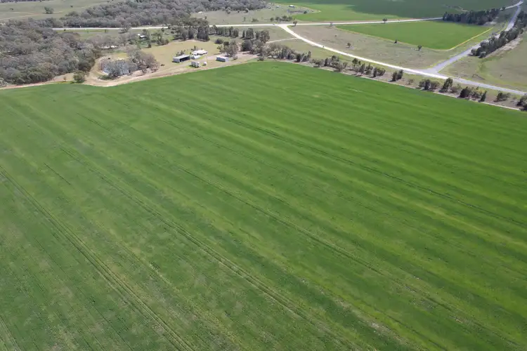 Main view of Homely rural property listing, 6689 Mid Western Highway, Caragabal NSW 2810