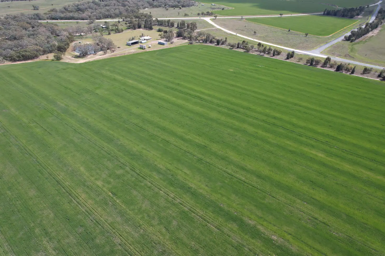 Main view of Homely rural property listing, 6689 Mid Western Highway, Caragabal NSW 2810