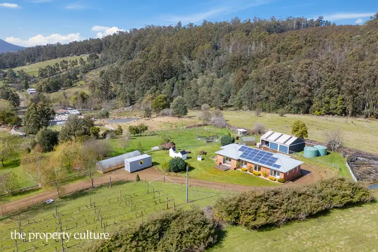 Sixth view of Homely house listing, 215 Swamp Road, Franklin TAS 7113