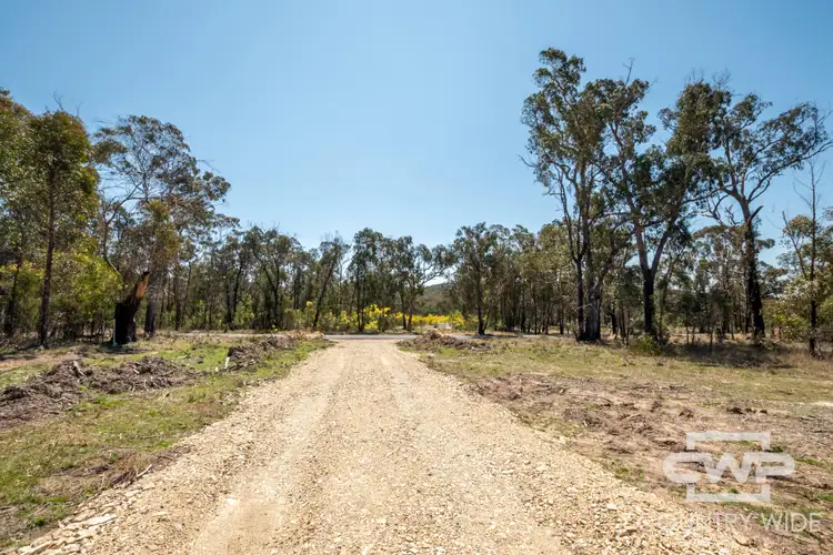 Seventh view of Homely land listing, 56 Torrington Road, Torrington NSW 2371