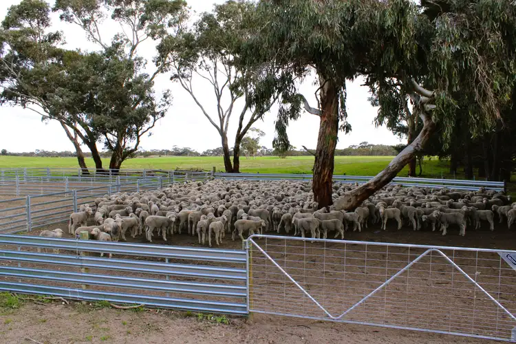 Main view of Homely rural property listing, 1 Elliott's Pit Road, Kaniva VIC 3419