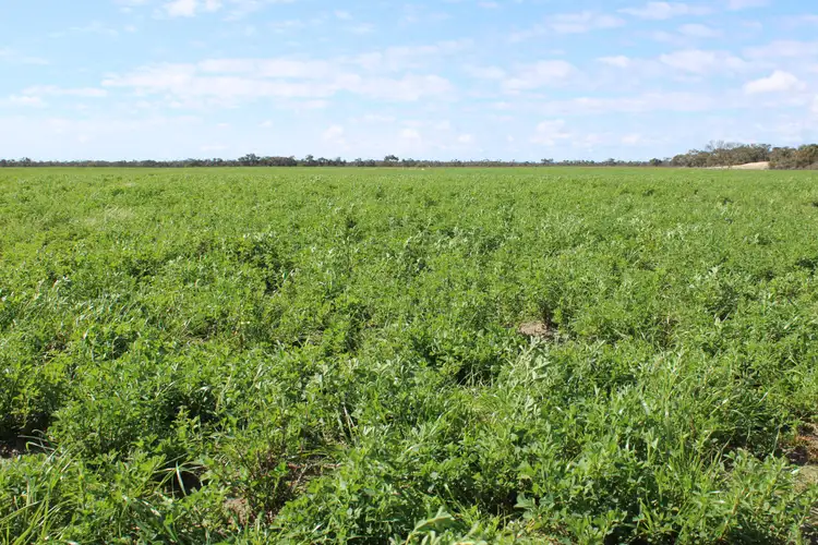 Fourth view of Homely rural property listing, 1 Elliott's Pit Road, Kaniva VIC 3419