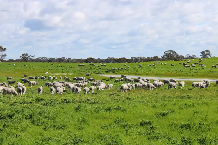 Fifth view of Homely rural property listing, 1 Elliott's Pit Road, Kaniva VIC 3419