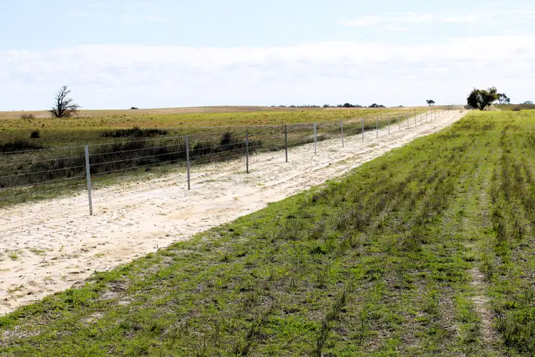 Seventh view of Homely rural property listing, 1 Elliott's Pit Road, Kaniva VIC 3419