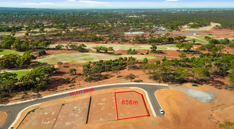 138 Aslett Drive, Karlkurla WA 6430
