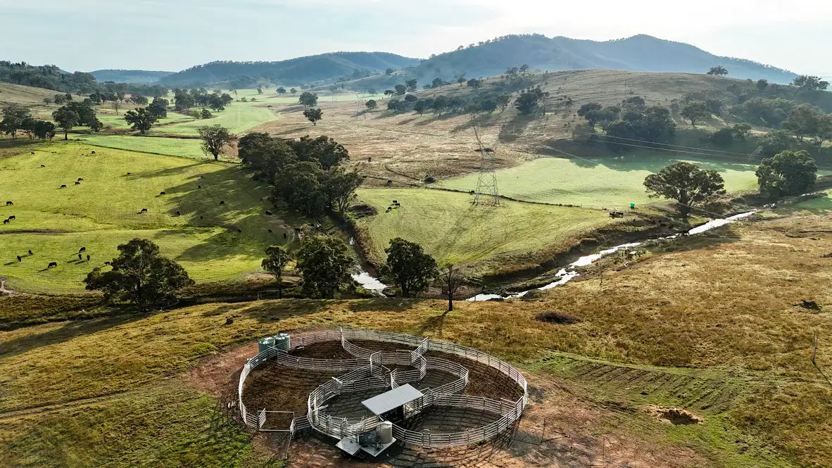 Main view of Homely rural property listing, 1021 Upper Mebul Road, Gulgong NSW 2852