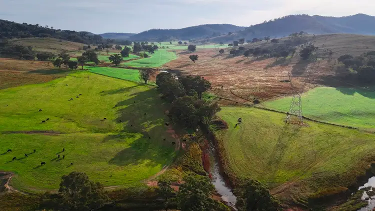 Seventh view of Homely rural property listing, 1021 Upper Mebul Road, Gulgong NSW 2852