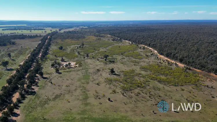 Main view of Homely rural property listing, 1587 Denmire Road, Mendooran NSW 2842