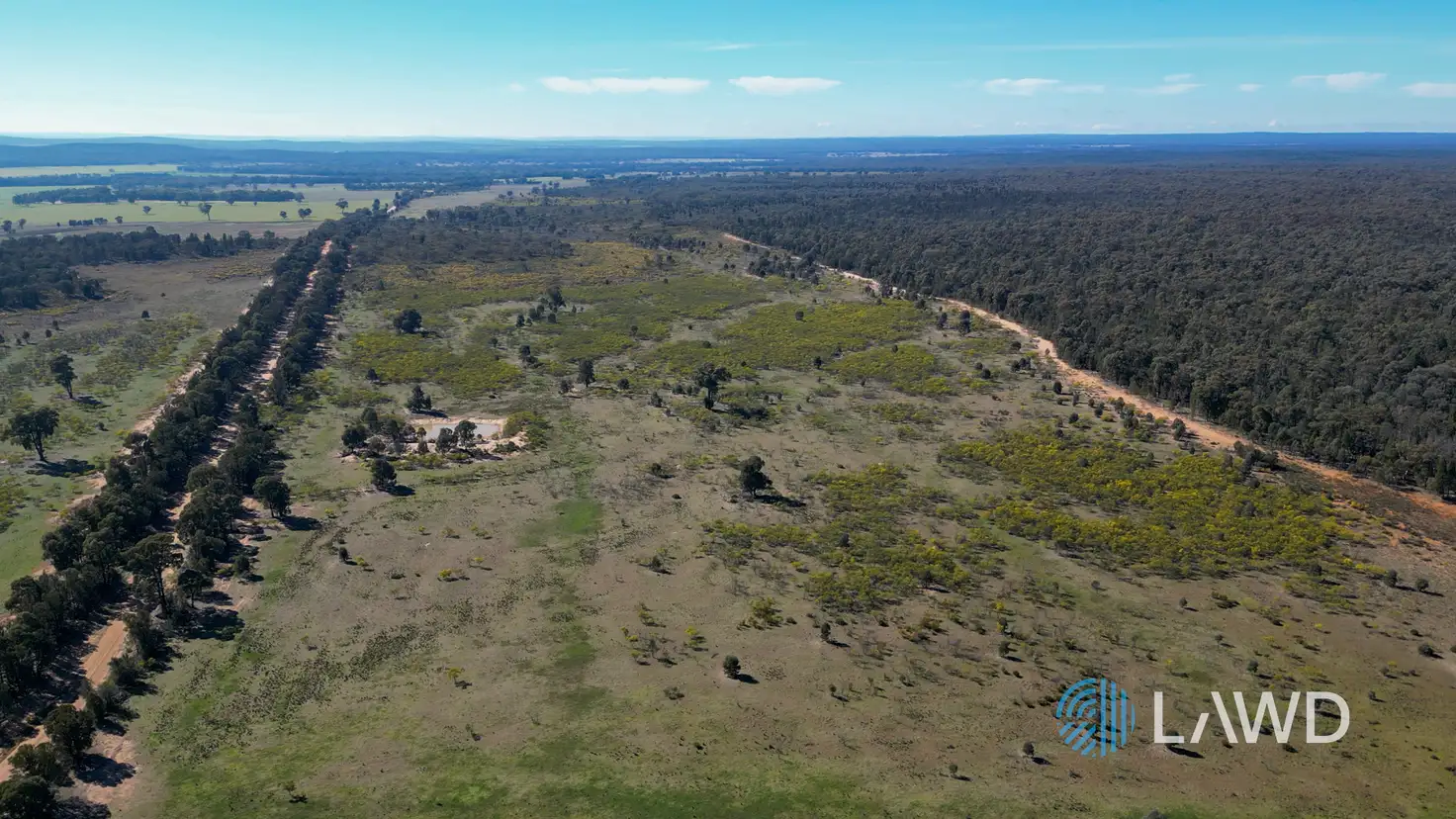 Main view of Homely rural property listing, 1587 Denmire Road, Mendooran NSW 2842