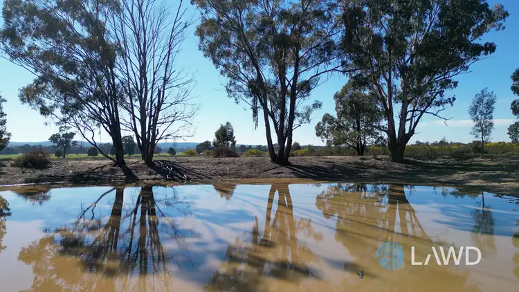 Fourth view of Homely rural property listing, 1587 Denmire Road, Mendooran NSW 2842