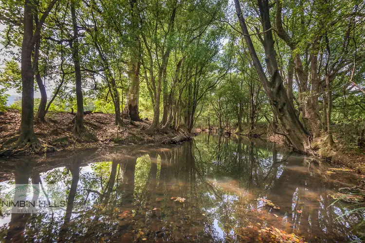 Fifth view of Homely land listing, 74 Tuntable Falls Road, Nimbin NSW 2480