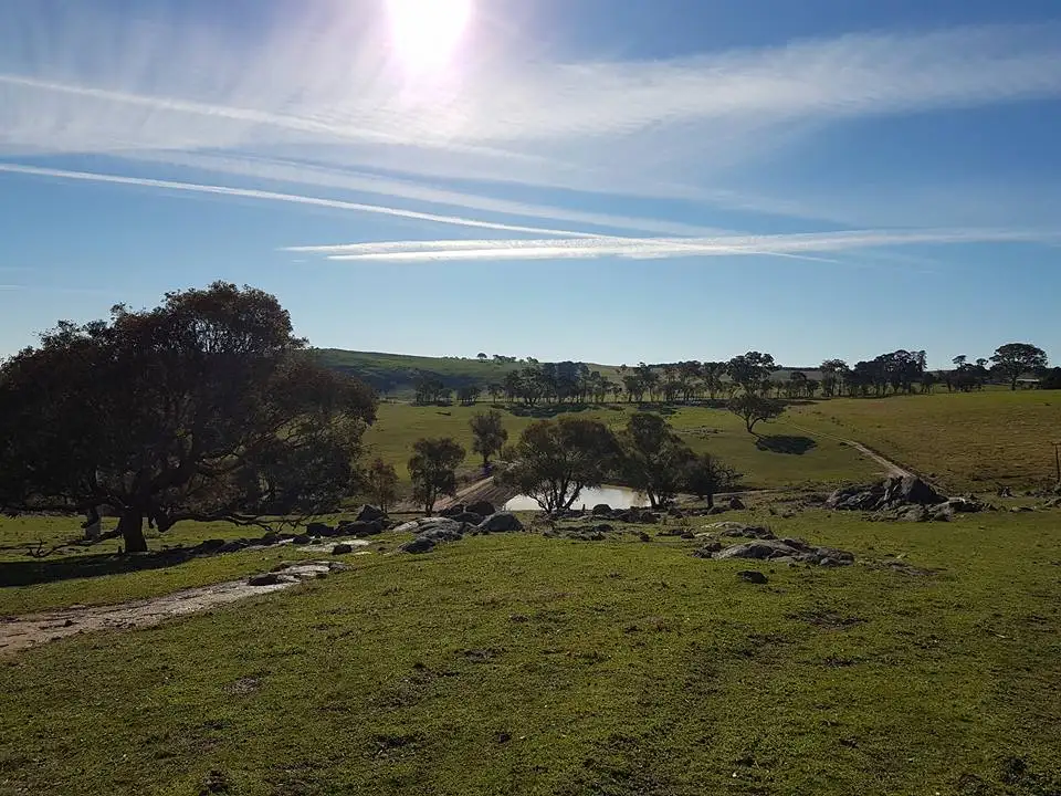 Main view of Homely rural property listing, 2400 SAPPHIRE ROAD, Wheeo NSW 2583