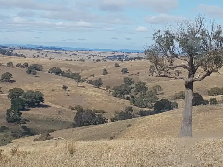 Sixth view of Homely rural property listing, 2400 SAPPHIRE ROAD, Wheeo NSW 2583