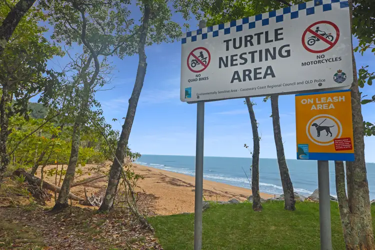 8 Feldt Street, Flying Fish Point QLD 4860