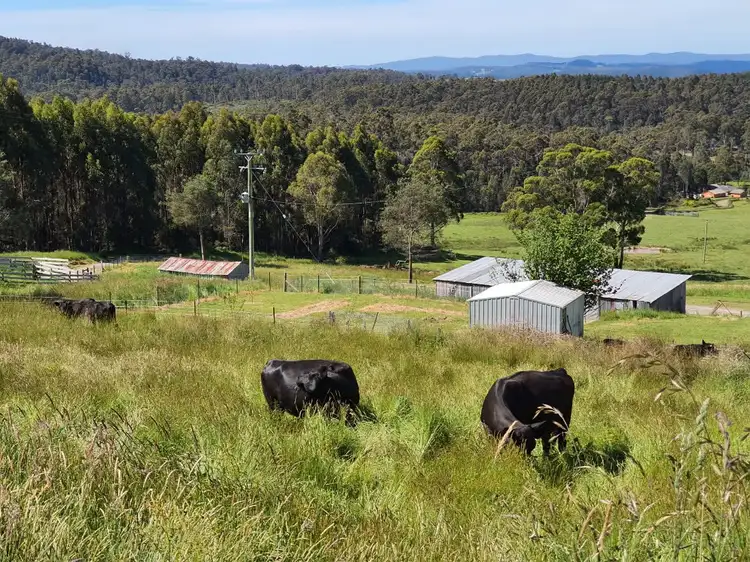 157 Beasleys Road, Frankford TAS 7275