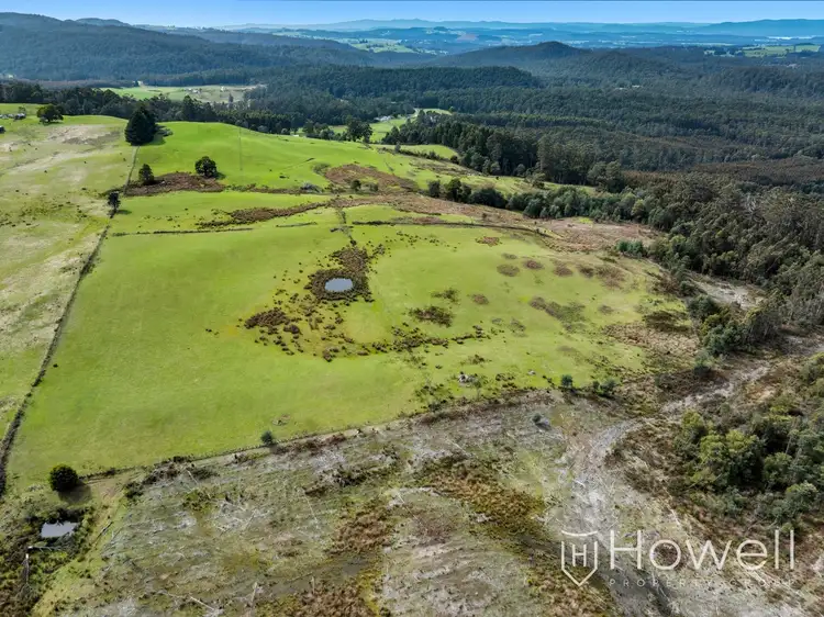 Fourth view of Homely rural property listing, 157 Beasleys Road, Frankford TAS 7275