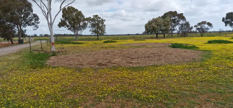 Third view of Homely rural property listing, 1060 Elmore-Raywood Road, Elmore VIC 3558