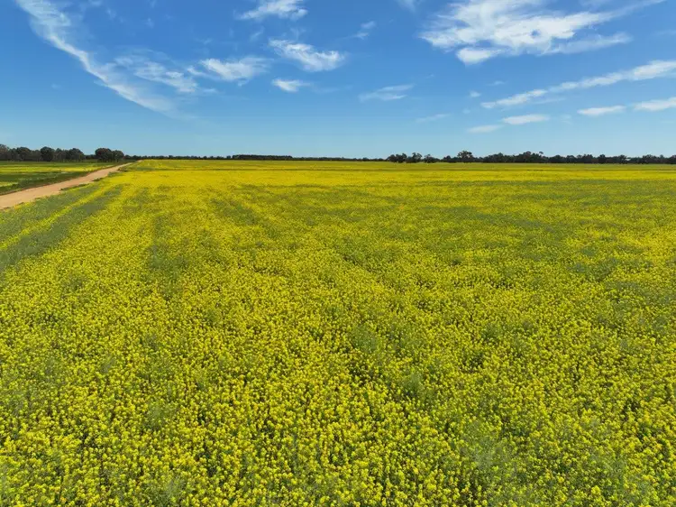 Lot 1 Coughlins Road