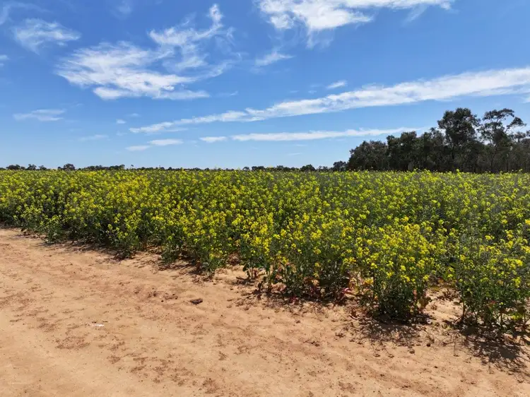 Fourth view of Homely rural property listing, Lot 1 Coughlins Road, Hunter VIC 3558