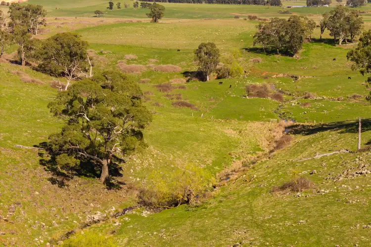 Seventh view of Homely rural property listing, Address available on request