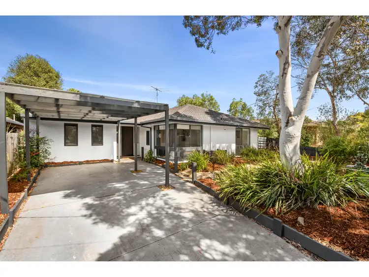34 Cheryl Crescent, Belmont VIC 3216