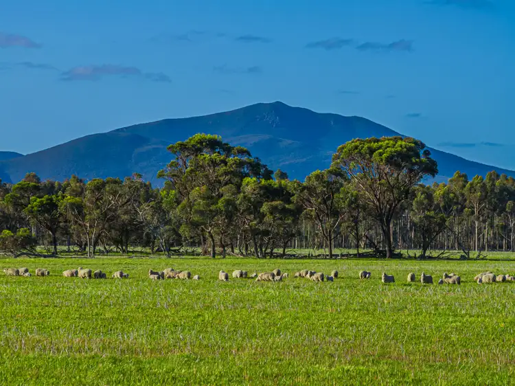 Third view of Homely rural property listing, 712 View Range Road, Kendenup WA 6323