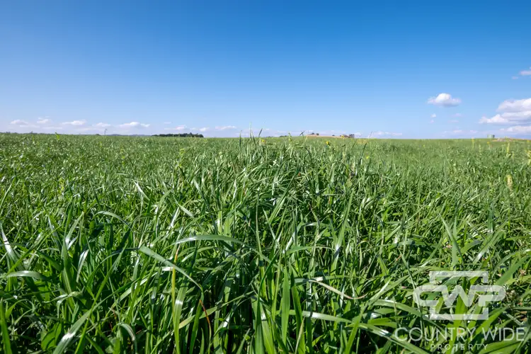 1067 Shannon Vale Road, Shannon Vale NSW 2370