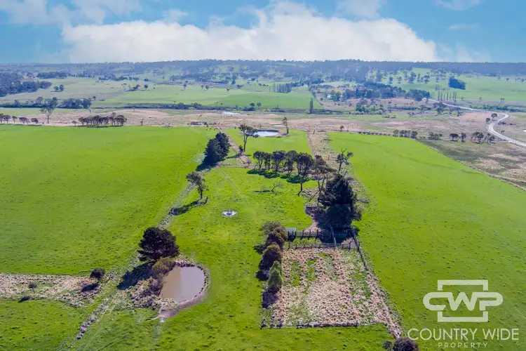 Main view of Homely rural property listing, 1067 Shannon Vale Road, Shannon Vale NSW 2370