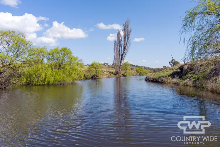 Third view of Homely rural property listing, 1067 Shannon Vale Road, Shannon Vale NSW 2370