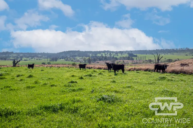 Fourth view of Homely rural property listing, 1067 Shannon Vale Road, Shannon Vale NSW 2370