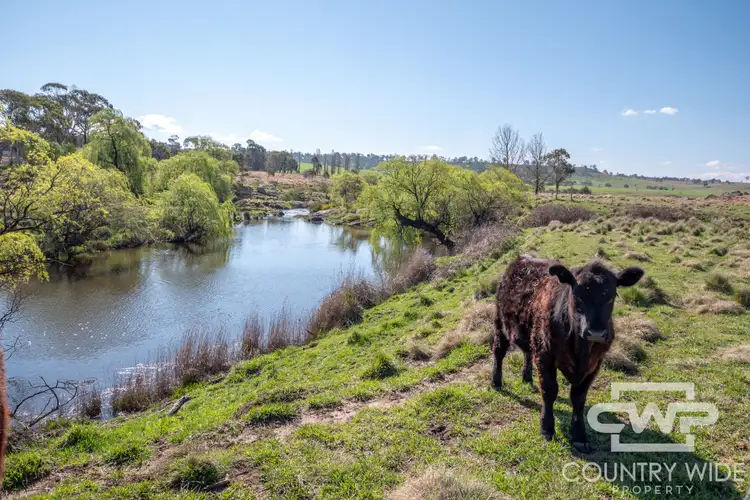Fifth view of Homely rural property listing, 1067 Shannon Vale Road, Shannon Vale NSW 2370