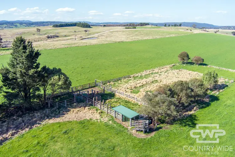 Seventh view of Homely rural property listing, 1067 Shannon Vale Road, Shannon Vale NSW 2370
