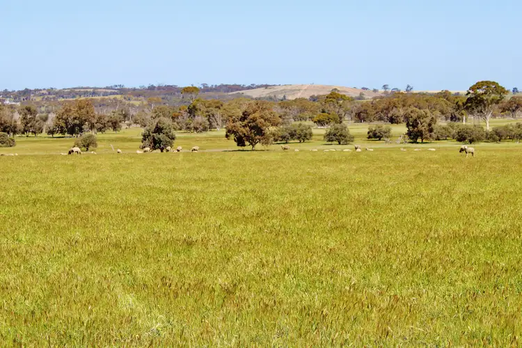 256 WAGIN-DUMBLEYUNG ROAD, Wagin WA 6315