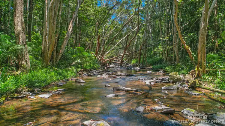 Sixth view of Homely rural property listing, 4532 Black Mountain Road, Julatten QLD 4871
