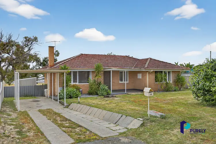 44 Fernhurst Crescent, Balga WA 6061