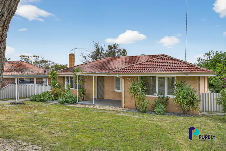 Second view of Homely house listing, 44 Fernhurst Crescent, Balga WA 6061
