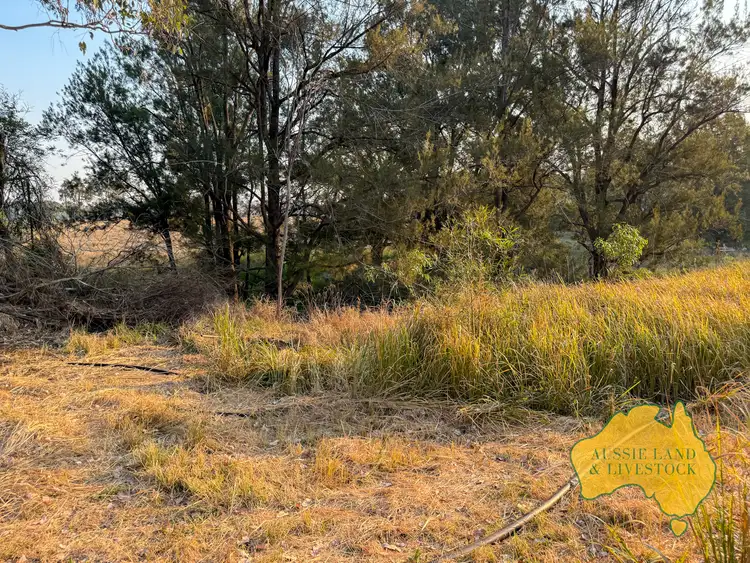 Fifth view of Homely land listing, 644 KUMBIA ROAD, Ellesmere QLD 4610