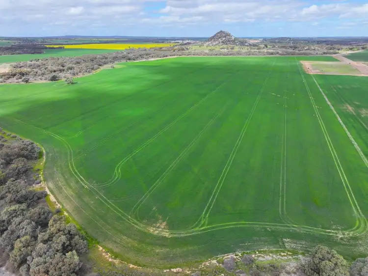 Third view of Homely rural property listing, 15 Oneil Street, Pyramid Hill VIC 3575