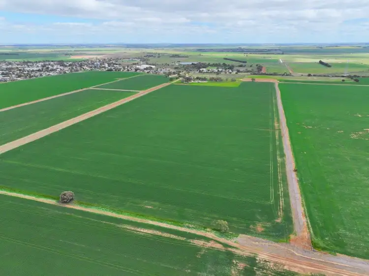 Fourth view of Homely rural property listing, 15 Oneil Street, Pyramid Hill VIC 3575
