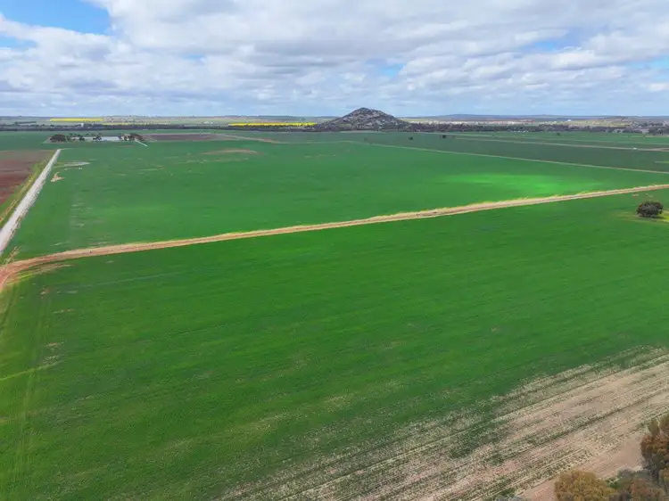 Fifth view of Homely rural property listing, 15 Oneil Street, Pyramid Hill VIC 3575