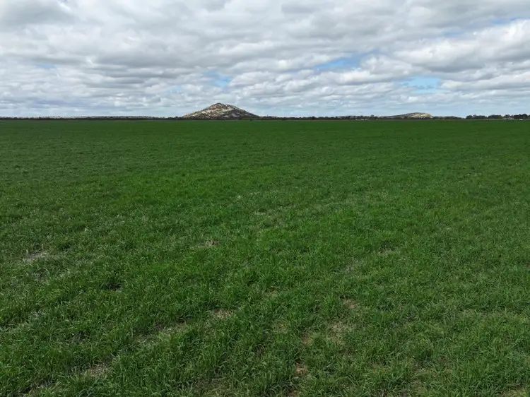 Seventh view of Homely rural property listing, 15 Oneil Street, Pyramid Hill VIC 3575