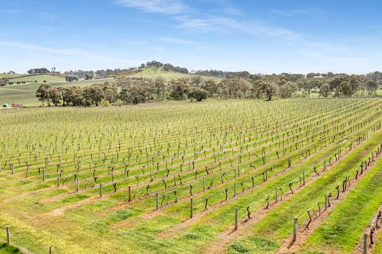 Second view of Homely rural property listing, 695 Northern Highway, Heathcote VIC 3523