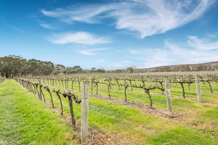 Fourth view of Homely rural property listing, 695 Northern Highway, Heathcote VIC 3523