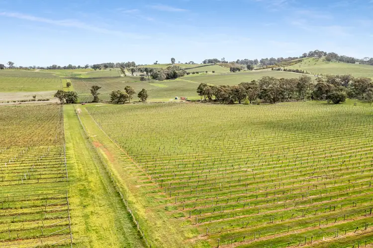 Sixth view of Homely rural property listing, 695 Northern Highway, Heathcote VIC 3523