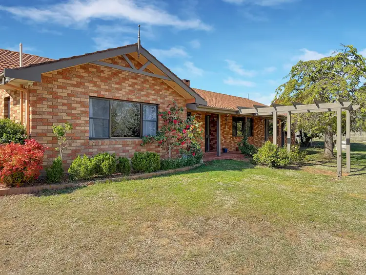 16 Alira Lane, Binjura NSW 2630