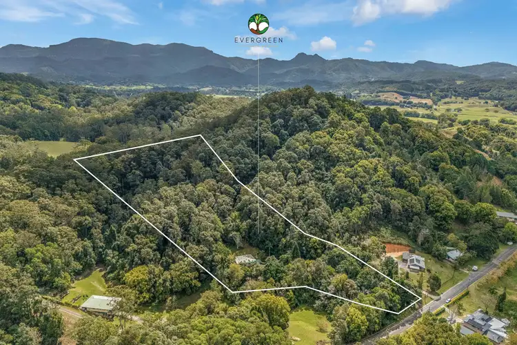 48 Glencoe Road, North Arm NSW 2484