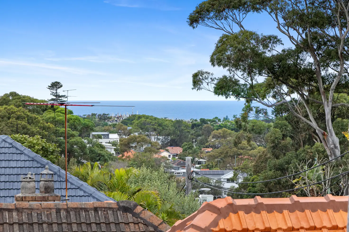 Main view of Homely house listing, 52A Albion Street, Waverley NSW 2024